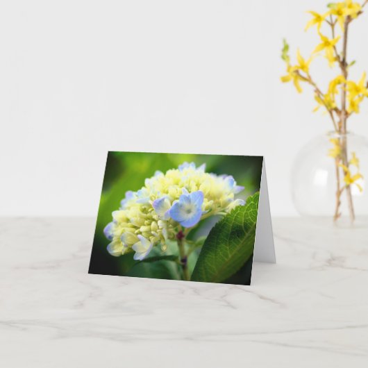 Soft Blue Hydrangea Flower Photography Note Karte (Gelbe Blume)