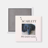 Soft Blush Pet Photo with Paw Print Accents Magnet (Vorderseite/Rückseite)
