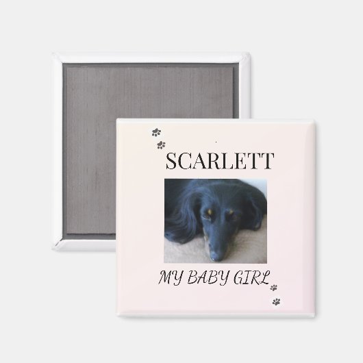 Soft Blush Pet Photo with Paw Print Accents Magnet (Vorderseite/Rückseite)