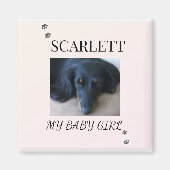 Soft Blush Pet Photo with Paw Print Accents Magnet (Vorne)