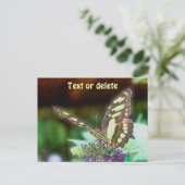 Soft Butterfly On Flower Nature Photo Personalized Postkarte (Stehend Vorderseite)