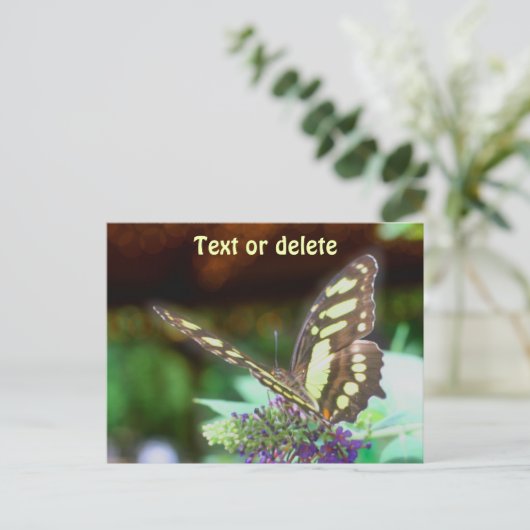 Soft Butterfly On Flower Nature Photo Personalized Postkarte (Stehend Vorderseite)