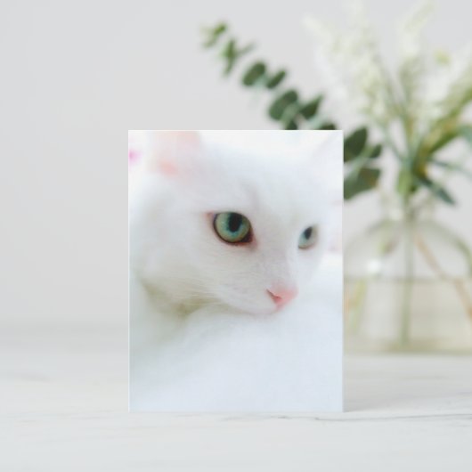 Soft Clouds Postkarte (Stehend Vorderseite)