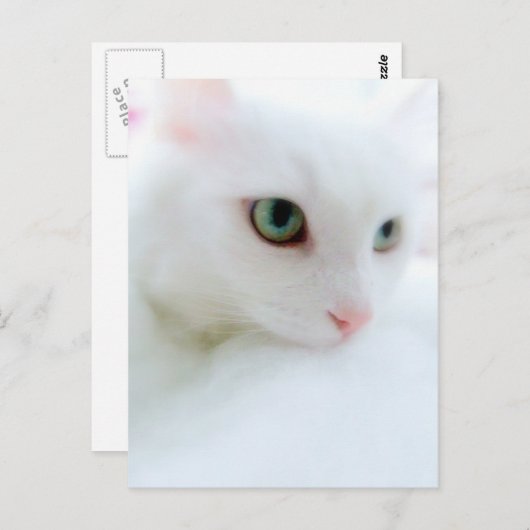 Soft Clouds Postkarte (Vorne/Hinten)