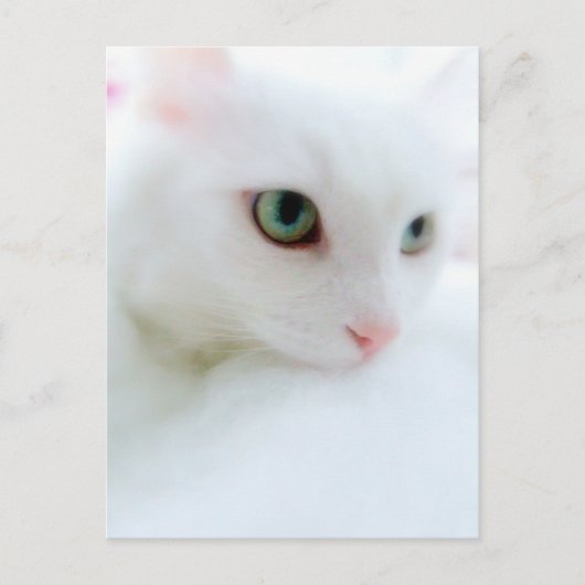 Soft Clouds Postkarte (Vorderseite)