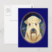 Soft Coat Wheaten Terrier Postkarten (Vorne/Hinten)