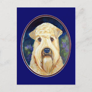 Soft Coat Wheaten Terrier Postkarten