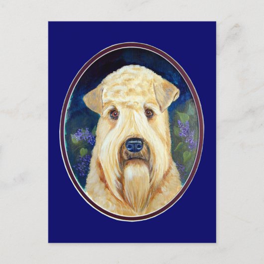 Soft Coat Wheaten Terrier Postkarten (Vorderseite)