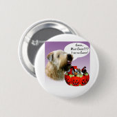 Soft Coated Wheaten Terrier Halloween Candy Button (Vorne & Hinten)