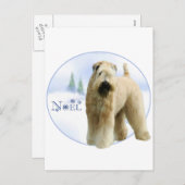 Soft Coated Wheaten Terrier Noel Feiertagspostkarte (Vorne/Hinten)