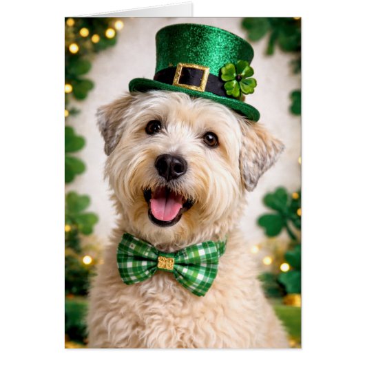 Soft Coated Wheaten Terrier St. Patrick’s Day Kart (Vorne)