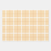 Soft Color Vertical Stripe Pattern Point Design Geschenkpapier Set (Vorderseite)