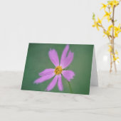 Soft Cosmos Blume Art Card Karte (Gelbe Blume)