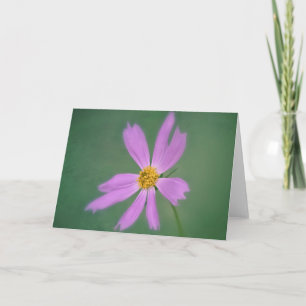 Soft Cosmos Blume Art Card Karte