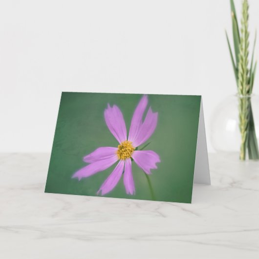Soft Cosmos Blume Art Card Karte (Vorderseite)