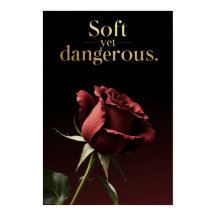 "Soft doch Dangerous" Minimalistische Wall Art