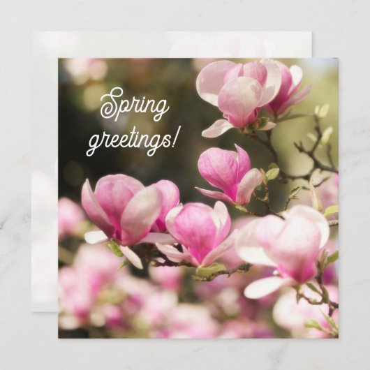 Soft Dreamy Magnolia spring greeting Karte (Vorne/Hinten)