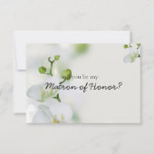 Soft Elegant Orchid wirst du meine Ehrenmatrone se (Vorderseite)