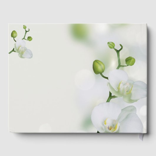 Soft Elegante Orchid Gästebuch (Rückseite)