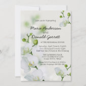 Soft Elegante Orchid Probe Dinner (Vorderseite)