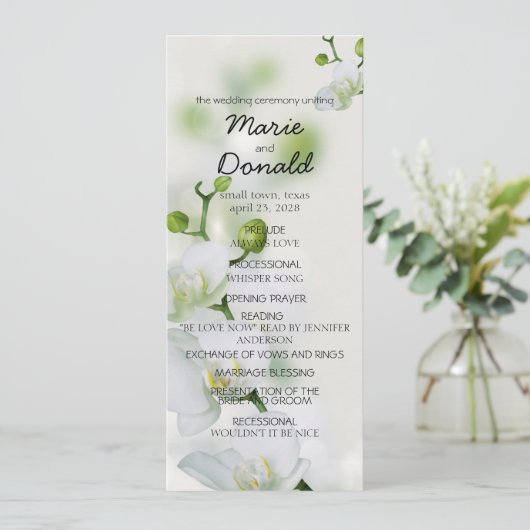 Soft Elegante Orchid Programm (Stehend Vorderseite)