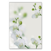 Soft Elegante Orchid Tischnummer (Rückseite)