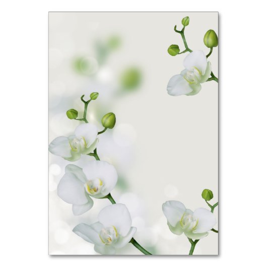 Soft Elegante Orchid Tischnummer (Rückseite)