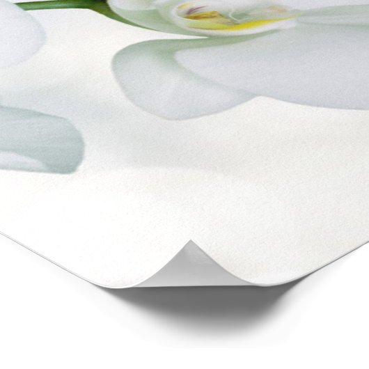 Soft Elegante Orchid Wedding Poster (Ecke)