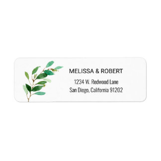 Soft Eucalyptus Verlasse Minimalistisches Haushalt