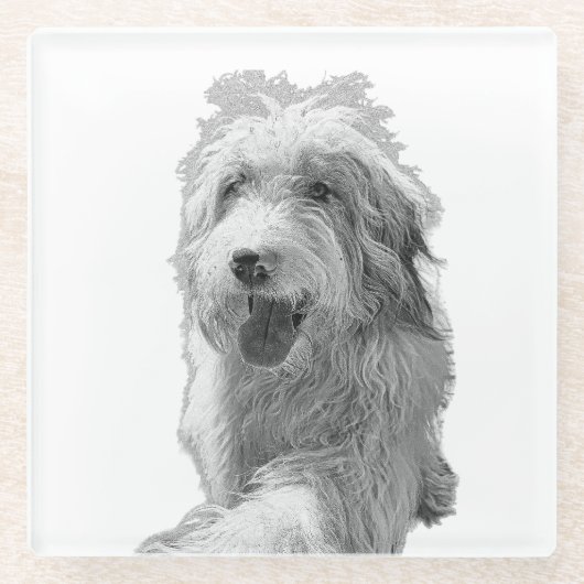 Soft Eyes, Solid Surface – Monochrome Dog Portrait Glasuntersetzer (Vorderseite)