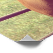 Soft Focus Scotch Poster (Ecke)