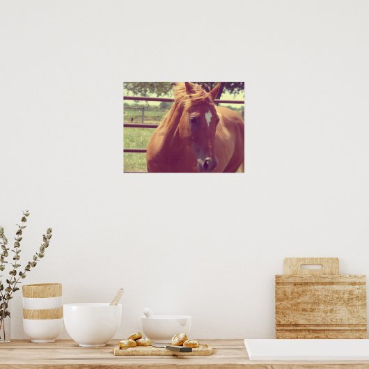 Soft Focus Scotch Poster (Küche)