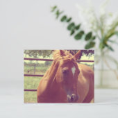 Soft Focus Scotch Postkarte (Stehend Vorderseite)