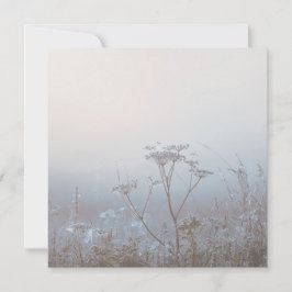 Soft Frosty Morning Nature Karte