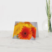 Soft Gerber Bunch Karte (Vorderseite)