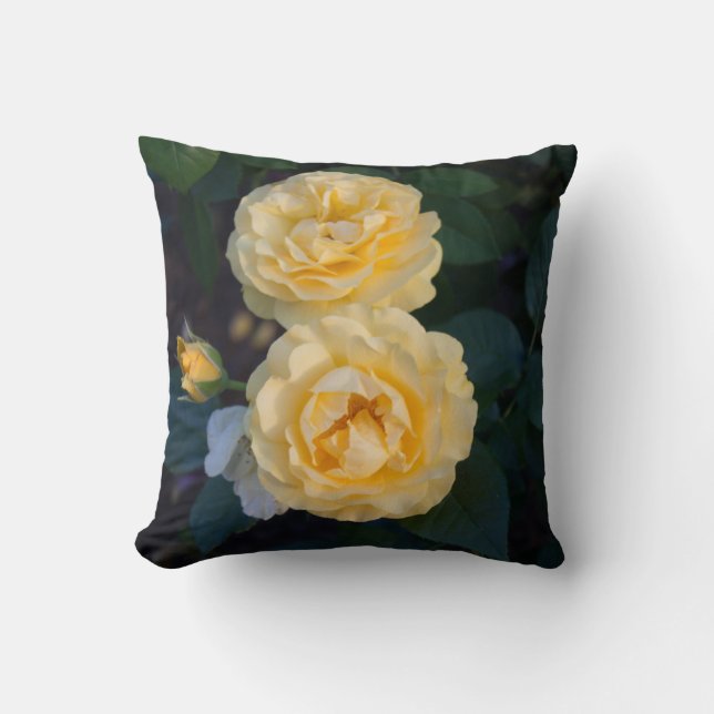 Soft-Gold-Rose Kissen (Vorderseite)