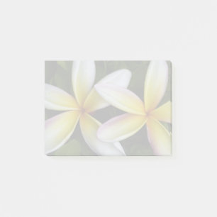 Soft Hawaiian Plumerias Post-it Klebezettel