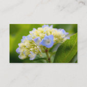 Soft Hydrangea Blume Business Card Visitenkarte (Rückseite)