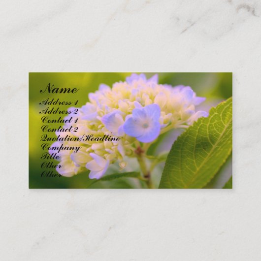 Soft Hydrangea Blume Business Card Visitenkarte (Vorderseite)