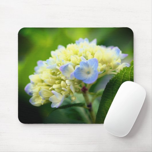 Soft Hydrangea-Blume Mousepad (Mit Mouse)