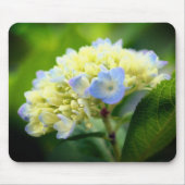Soft Hydrangea-Blume Mousepad (Vorne)
