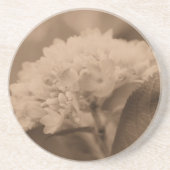 Soft Hydrangea Sepia Floral Untersetzer (Vorne)