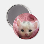 Soft Kitten Magnet (Vorderseite/Rückseite)