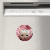 Soft Kitten Magnet (In Situ (Geschirrspüler))