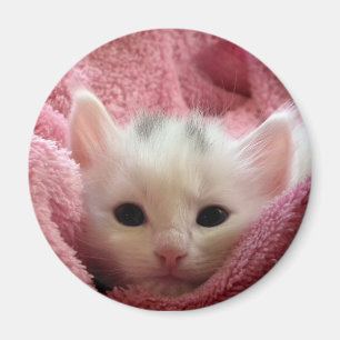 Soft Kitten Magnet