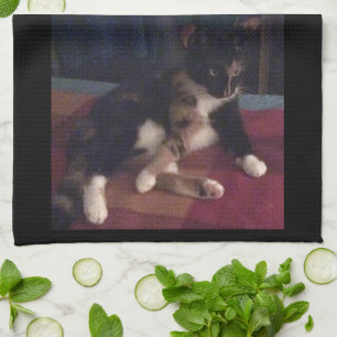 Soft Kitty Paws Küchentuch