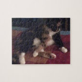 Soft Kitty Paws Puzzle (Horizontal)