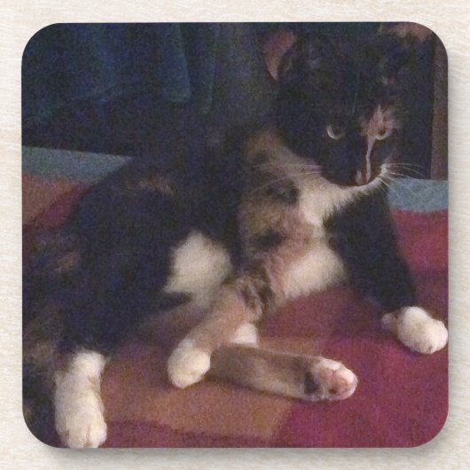 Soft Kitty Paws Untersetzer (Vorderseite)