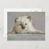 Soft kitty, ragdoll Postkarte (Vorne/Hinten)