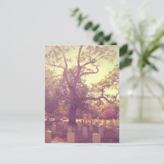 Soft Light Graveyard Postkarte (Stehend Vorderseite)